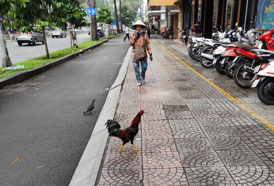 Quand la sélection du GPHG s'arrête à Hô Chi Minh ville au Vietnam : énorme succès !