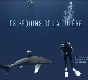 Oris partenaire de Jérôme Delafosse dans le reportage "Les Requins de la colère"